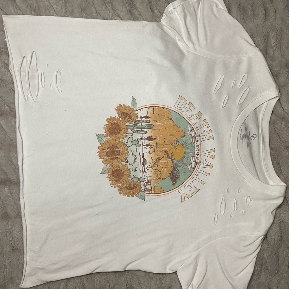 Death Valley crop top